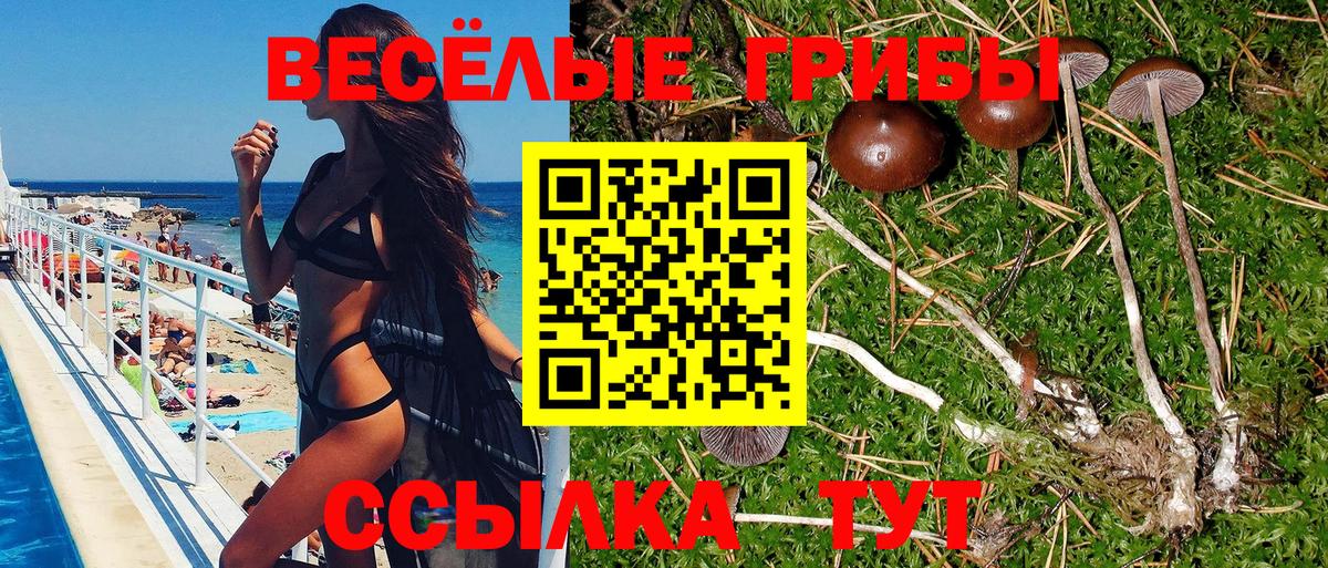 Ревда  Псилоцибиновые грибы Psilocybe  наркошоп  Вход с VPN 